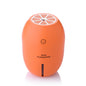 LEMON USB AIR HUMIDIFIER / PORTABLE INDOOR CUTE HUMIDIFIER